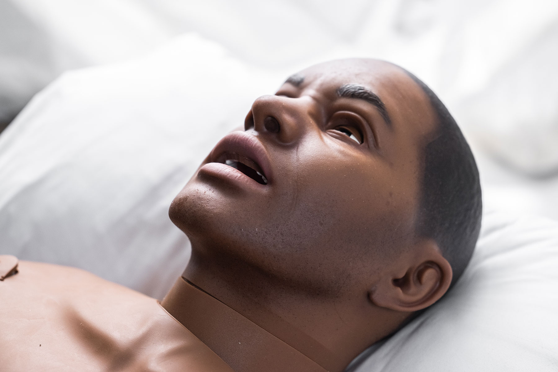 SimMan 3G PLUS