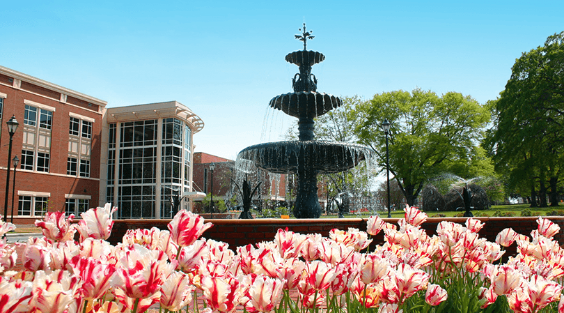 flowers in front of a fountain