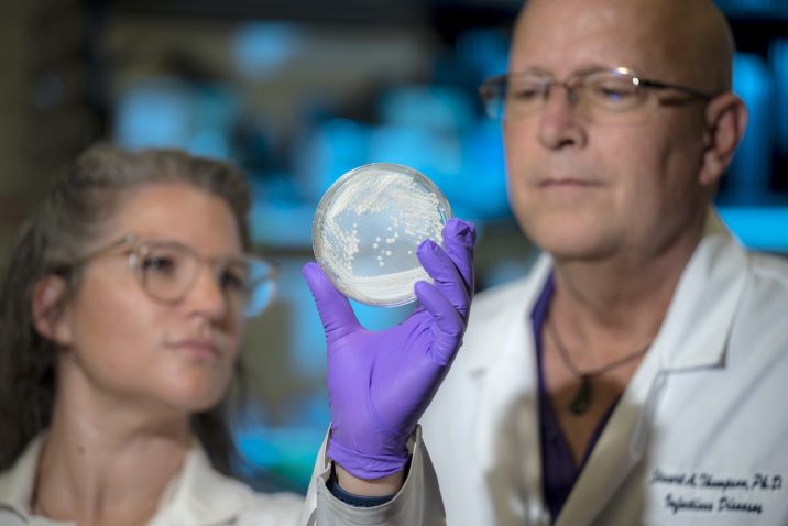 Researchers in a lab look at a sample in a Petri dish.