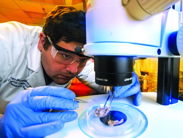 photo of Ryan Bloomquist, DMD, PhD