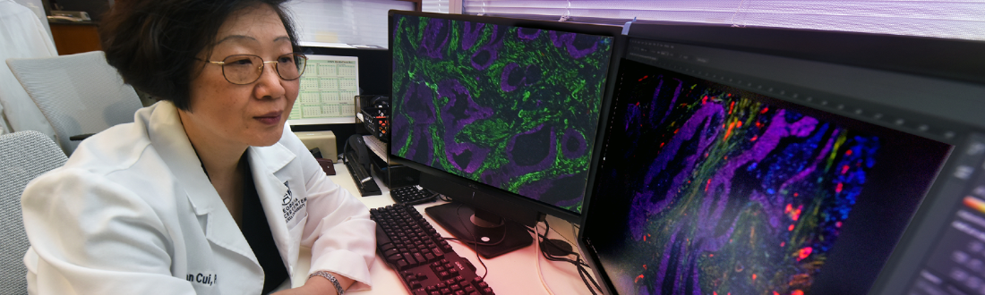 Dr. Cui in her lab