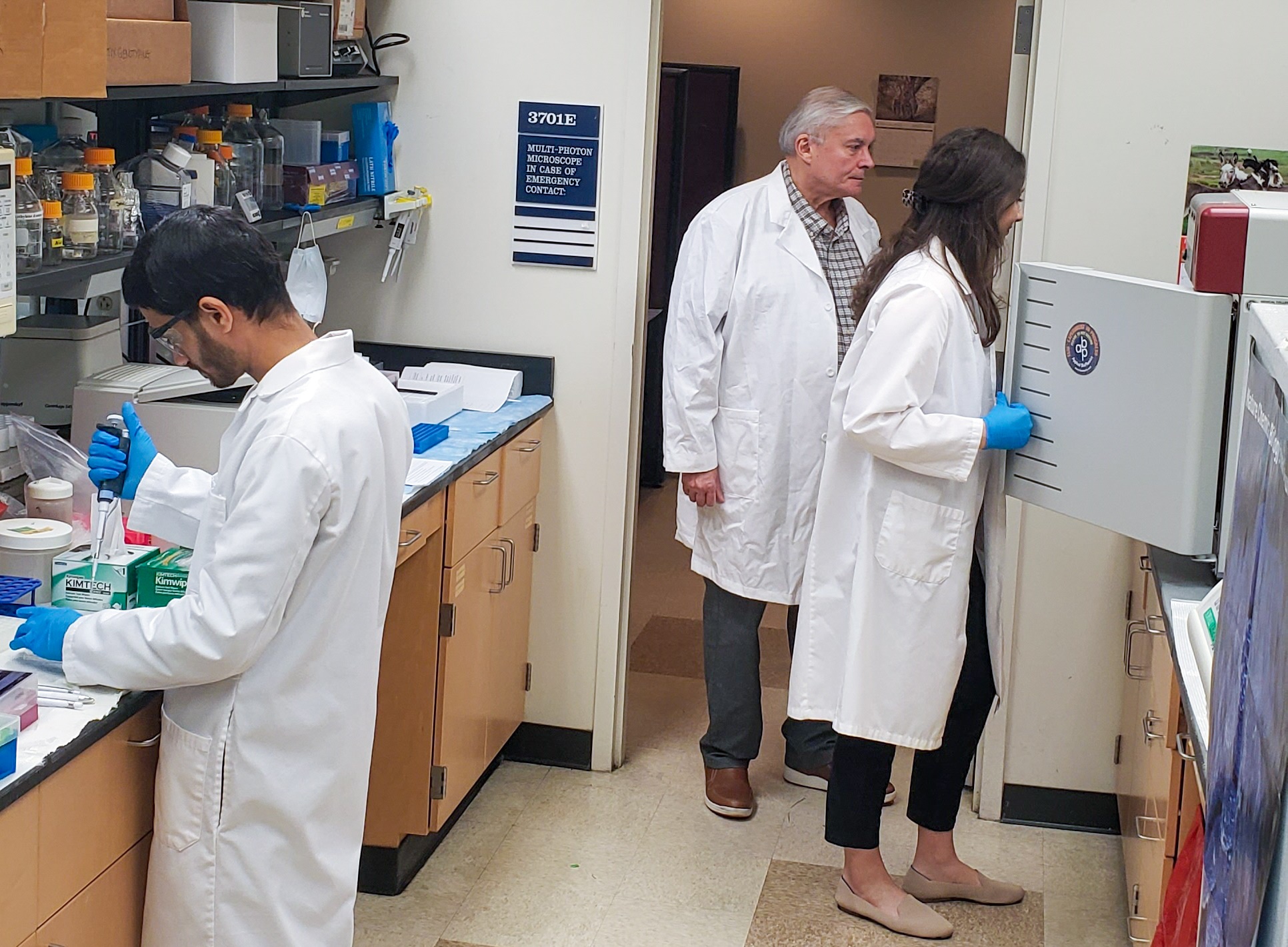 Verin's lab
