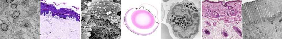 Emhistor banner