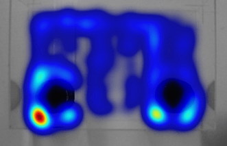 Wang lab image