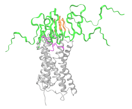Wang lab image