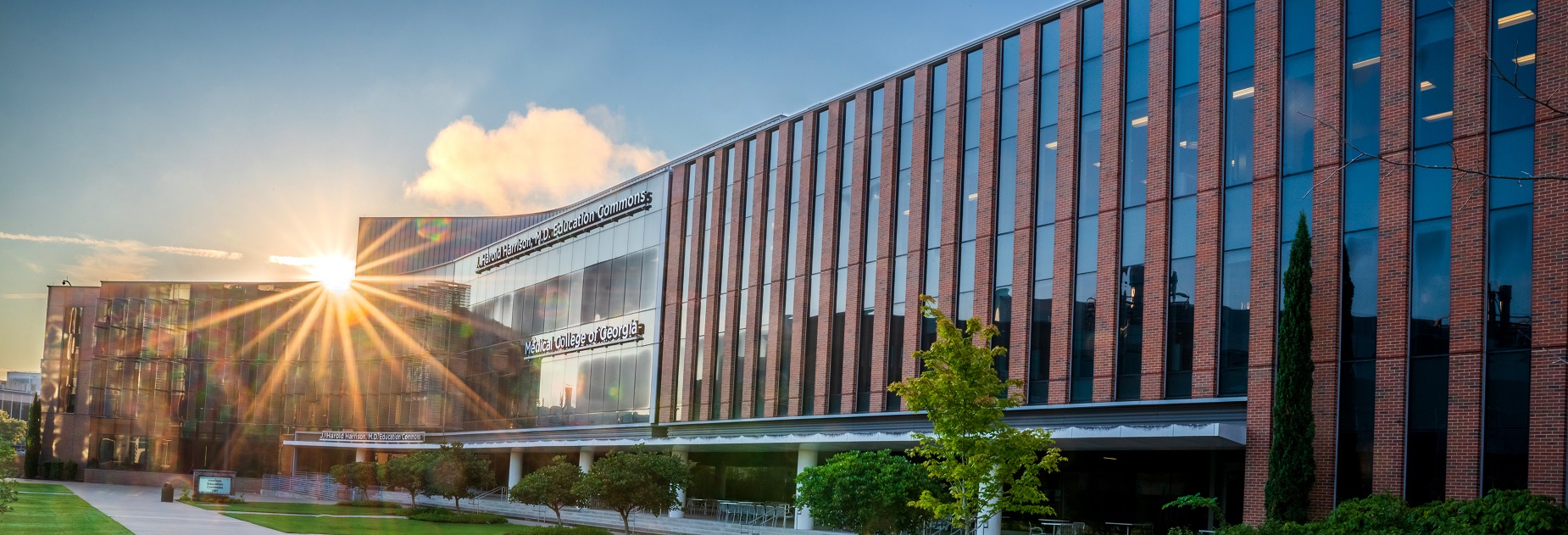 Medical College of Georgia