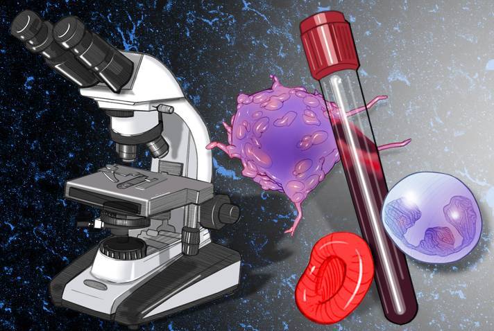 Stem cell research