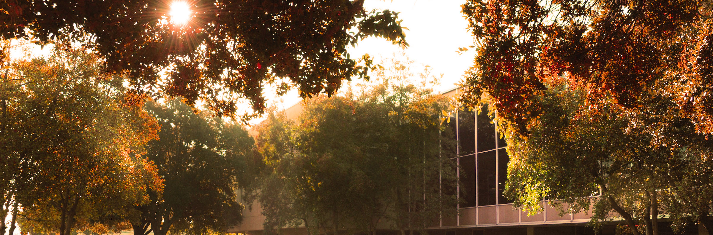 CB Research Building