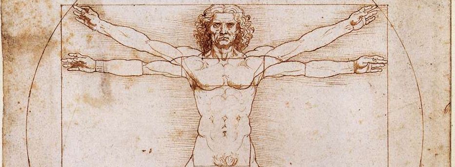 The Vitruvian Man
