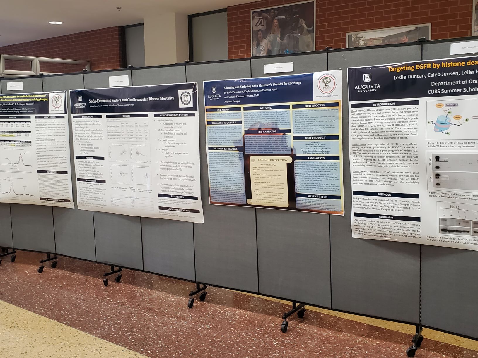 Posters displayed at conference
