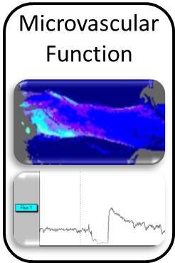 Microvascular Function button