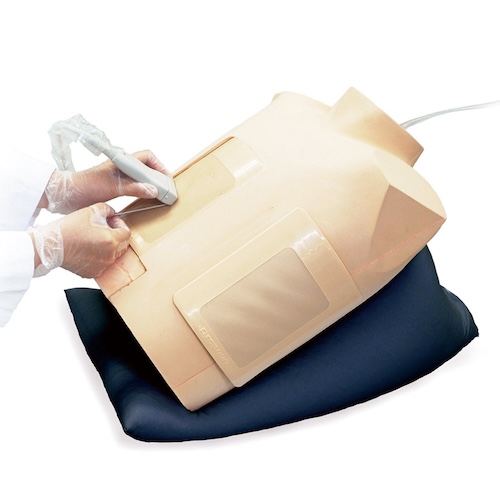 Periocardiocentesis Trainer by Periocardiocentesis