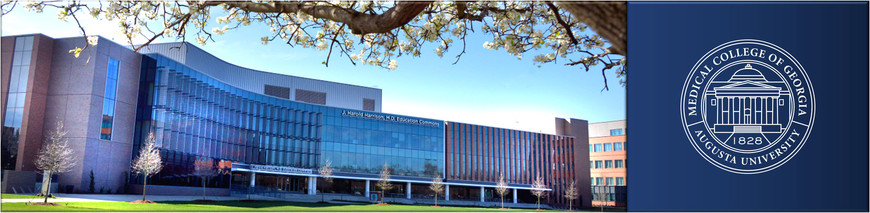 The Commons with MCG logo