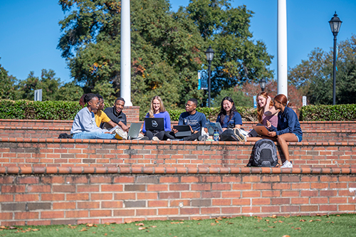 A large group of students sitting in amphitheatre on summerville campus.